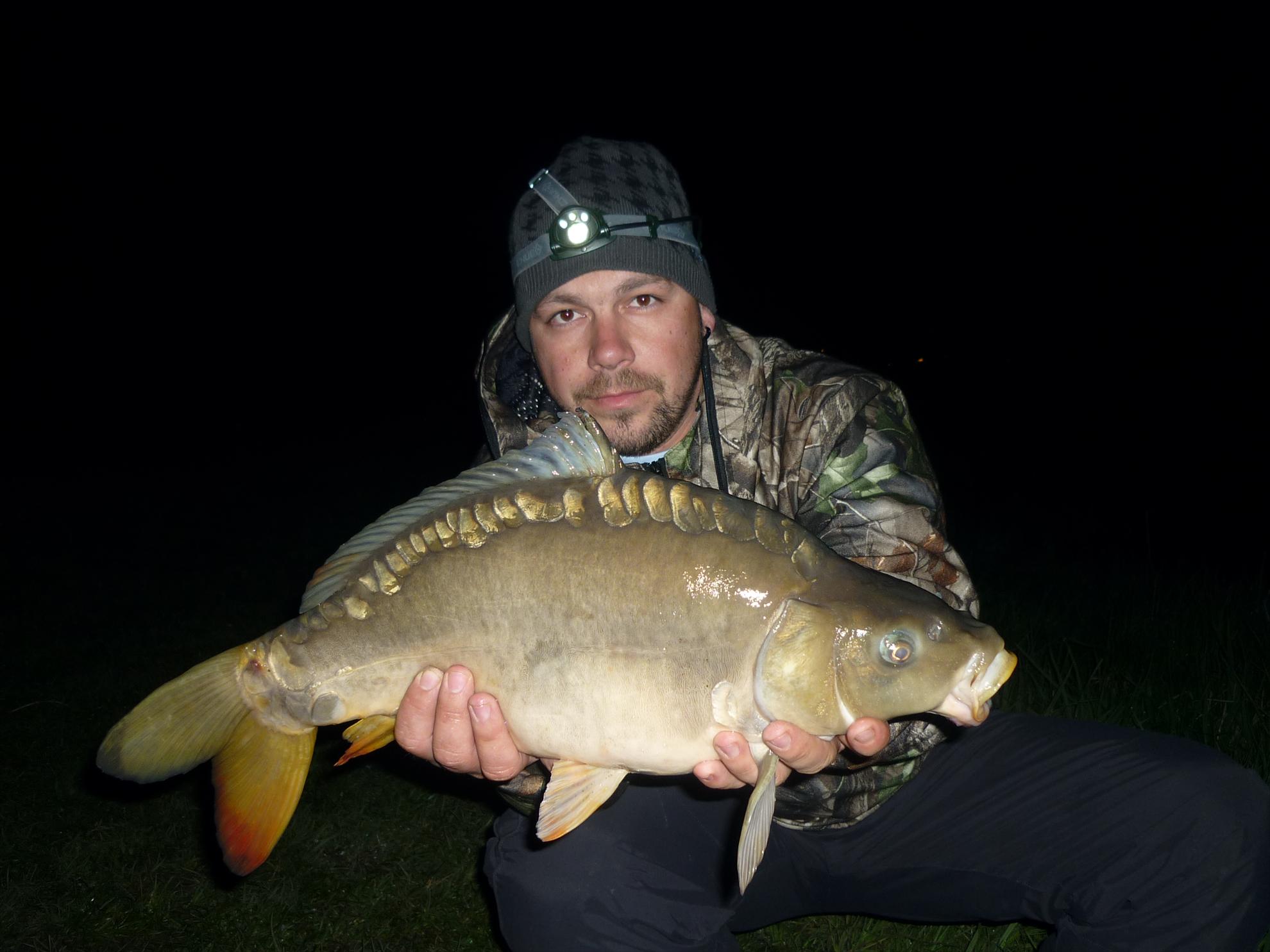 Stejeris 2011 - p1010932.JPG